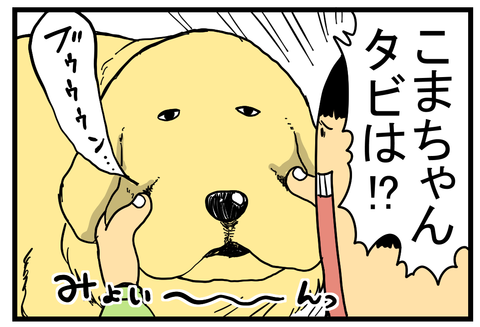 タビ、行方不明事件の一部始終がこちら : まめきちまめこニートの日常 Powered by ライブドアブログ