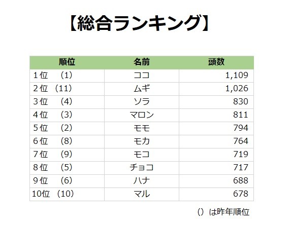 犬の名前 ムギ 麦 人気の理由は ランキング総合1位は10連覇 ココ 3位は ソラ ガールズちゃんねる Girls Channel