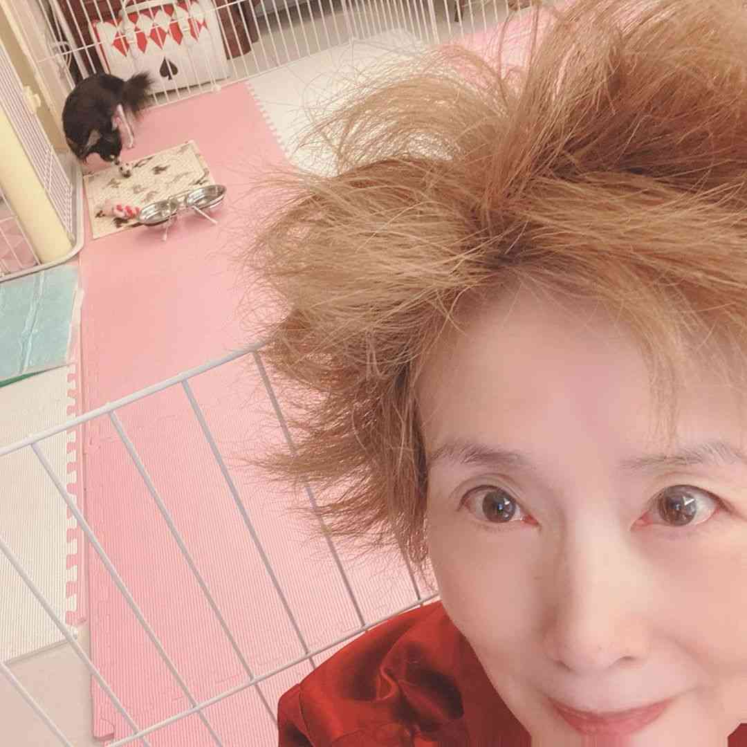 小柳ルミ子、「鏡見てビックリ」の“寝起きヘア” 「新しいファッションかと」驚きの声