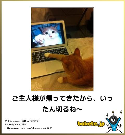 動物のboketeを貼るトピpart6