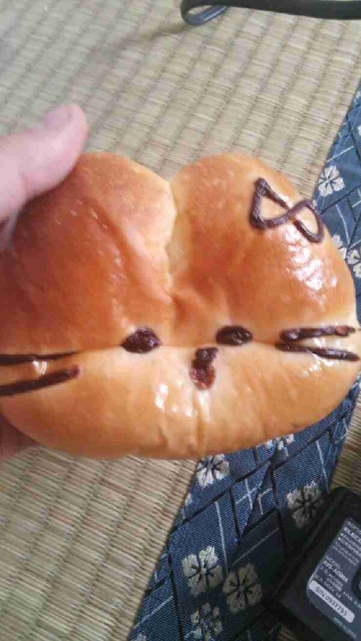 無断でアンパンマンの人形焼きを販売した疑いで書類送検 コロナで仕事なく移動販売