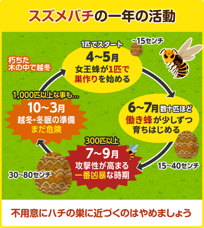 「スズメバチに刺された」園児ら8人搬送 鳥取市