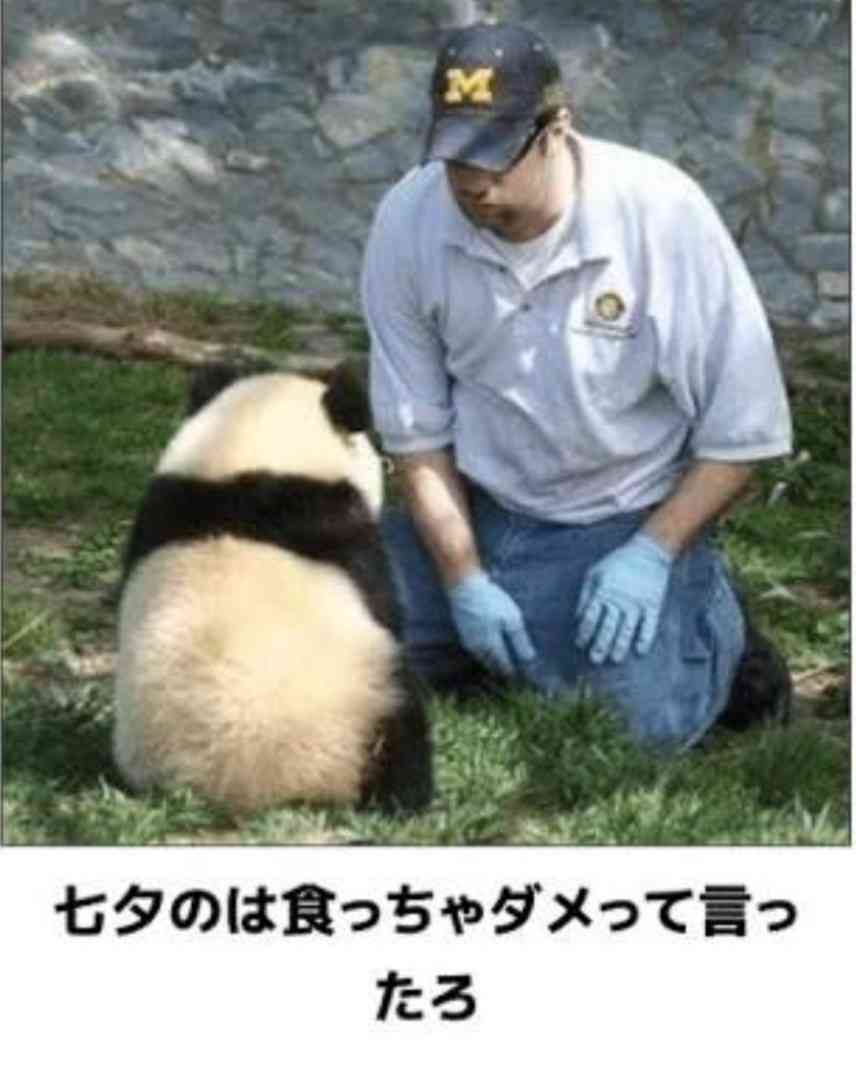 動物のboketeを貼るトピpart6