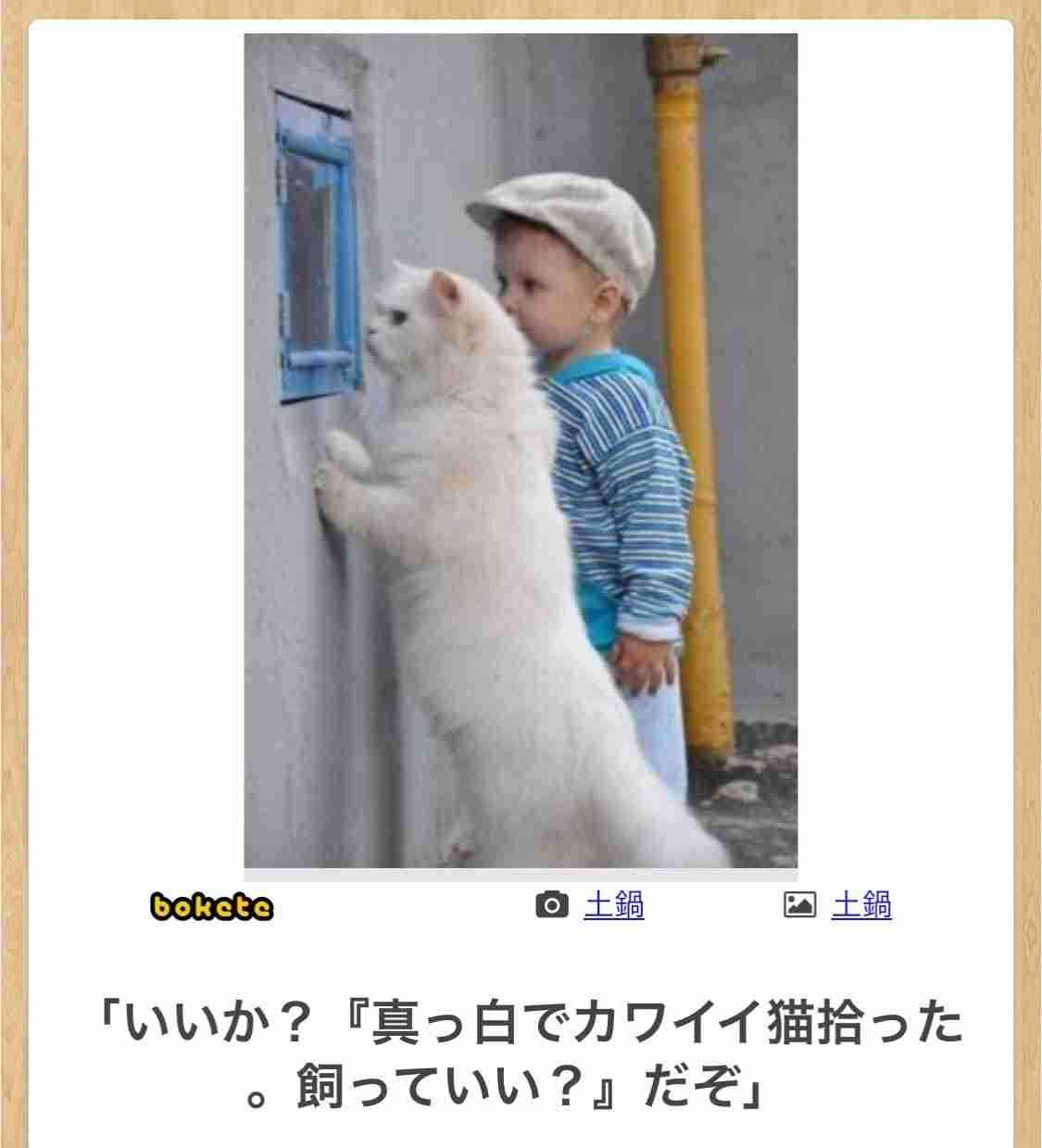 動物のboketeを貼るトピpart6