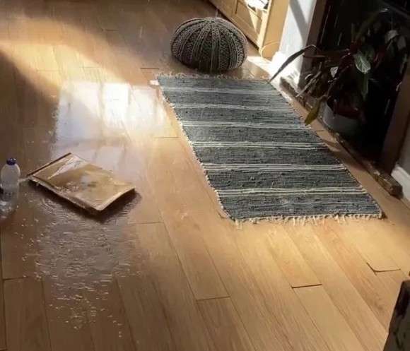 悪知恵が働きすぎるキャット。洗面台の排水口を容器で塞いで水を流し家を水浸しに（イギリス）