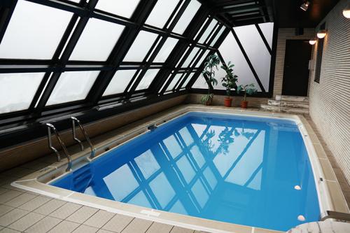 瀬戸大也の不倫で処分に世界は驚き　同情も「日本は不誠実さで最高のスイマーを制裁」