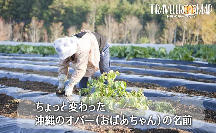 ちょっと変わった沖縄のオバー（おばあちゃん）の名前 | トラベラーマップ