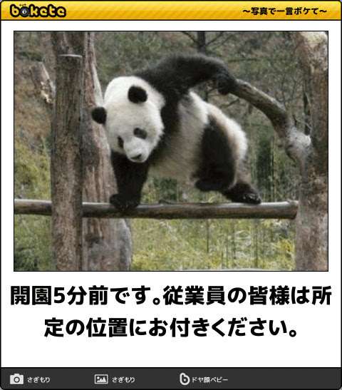 動物のboketeを貼るトピpart6