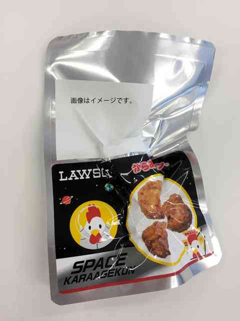 からあげクン、宇宙へ　野口聡一飛行士にISSで提供
