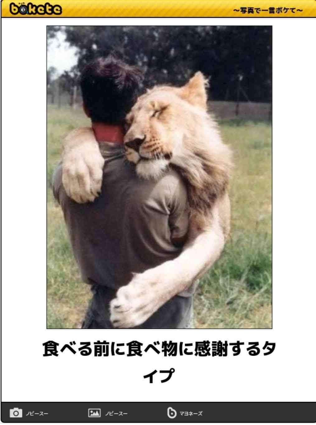 動物のboketeを貼るトピpart6