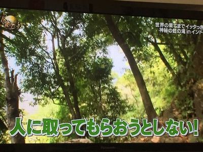 思わず共感してしまった芸能人の発言