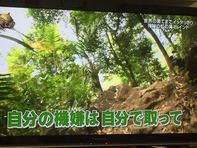 思わず共感してしまった芸能人の発言
