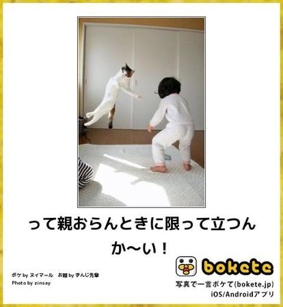 動物のboketeを貼るトピpart6
