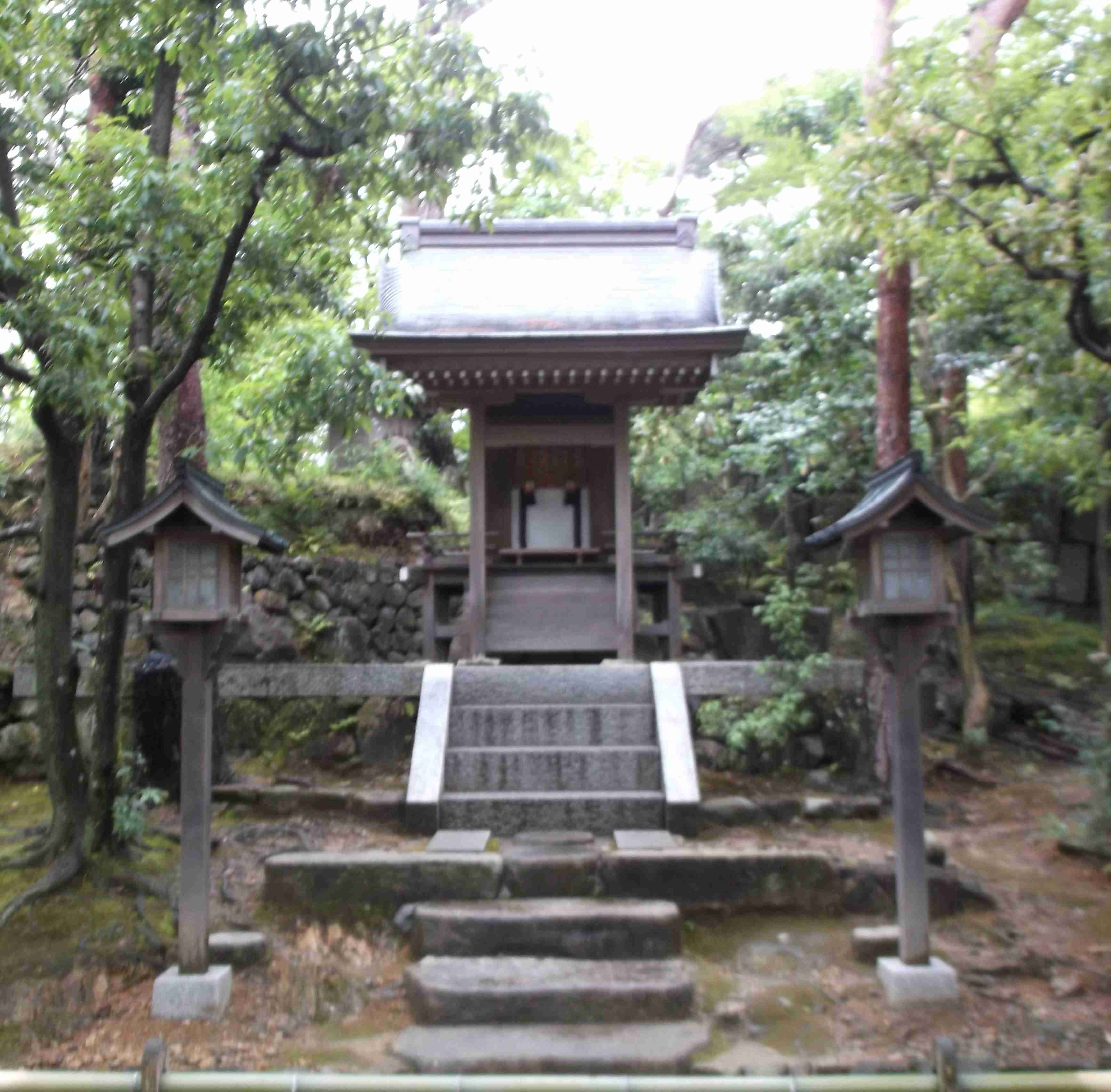 「長生(ちょうせい)医学」　霊肉一致の医学 | スサノオと出口王仁三郎