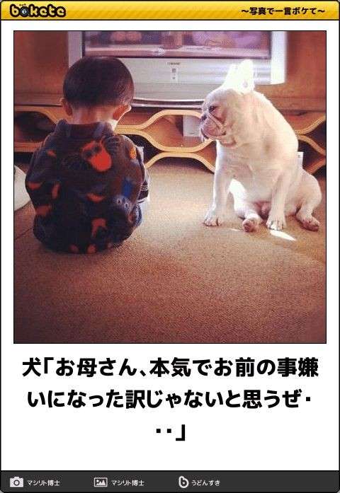 動物のboketeを貼るトピpart6