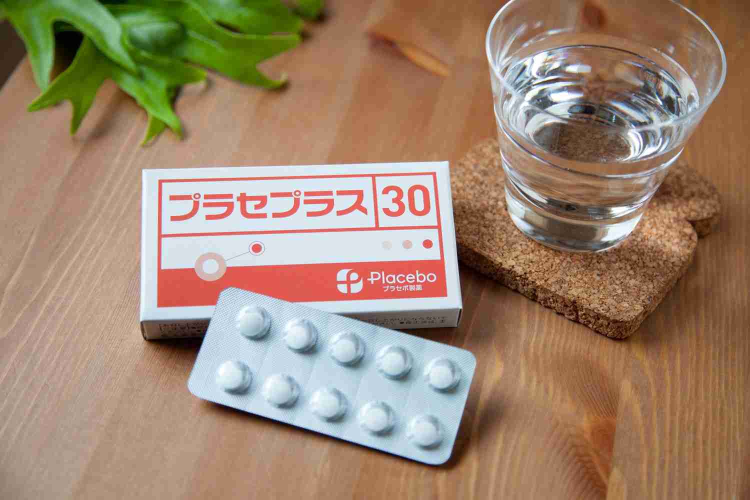 サンプル請求