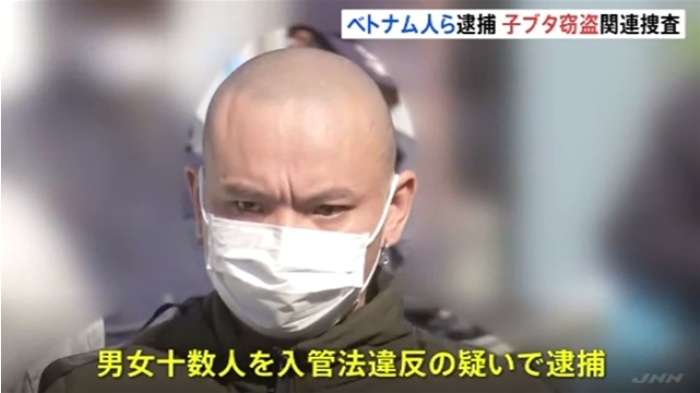 北関東の豚盗難に関与か、ベトナム人宅を家宅捜索　2人を入管法違反容疑で逮捕