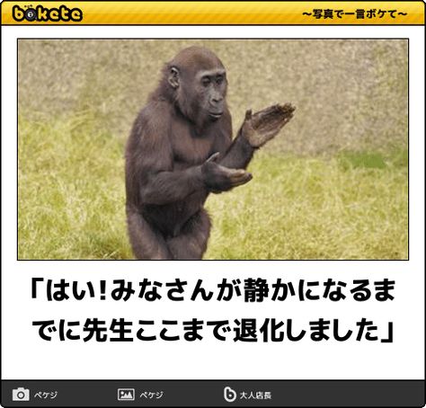 動物のboketeを貼るトピpart6