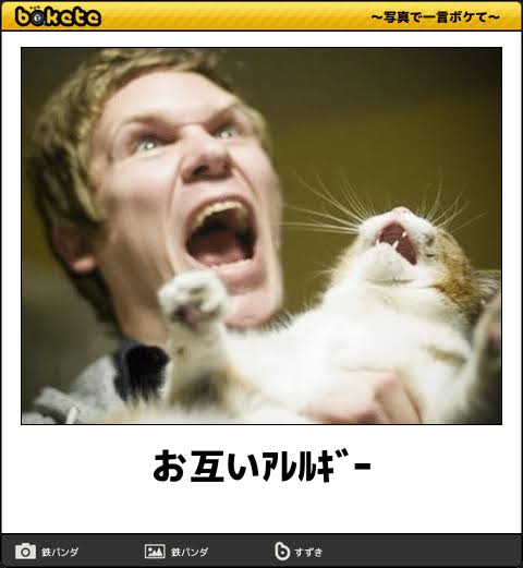 動物のboketeを貼るトピpart6