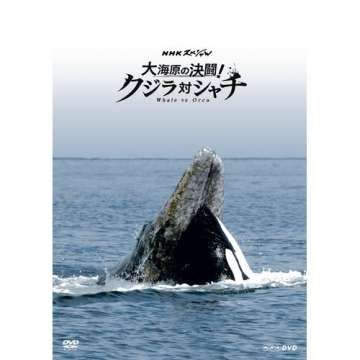 【スギちゃん雑談】寒くなってきたぜぇ~冬じたくするぜぇ~🍂🧦【part54】