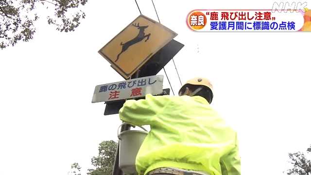 奈良公園で鹿の交通事故防止活動｜NHK 関西のニュース