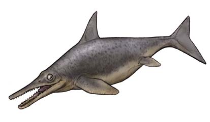 イクチオサウルス(Ichthyosaurus ) 恐竜のデジタル図鑑