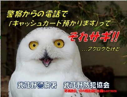 何も悪いことしてないのに...　警察署の詐欺防止ポスターで、カワウソがまさかのとばっちりを食ってしまう