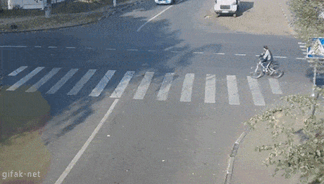衝撃的なgif