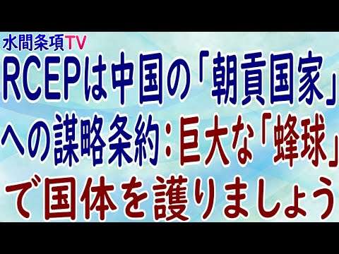 『RCEPは中国の「朝貢国家」への謀略条約：巨大な「蜂球」で国体を護りましょう』第298回【水間条項TV】 - YouTube
