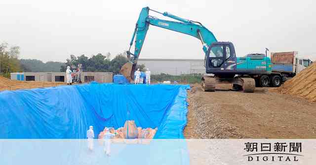 香川でまた鳥インフル発生か　東かがわ市の養鶏場で陽性：朝日新聞デジタル
