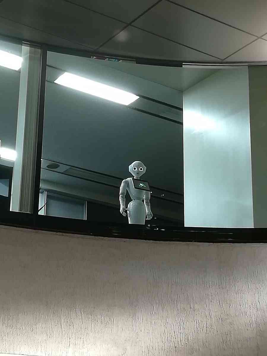 視線を感じるトピ