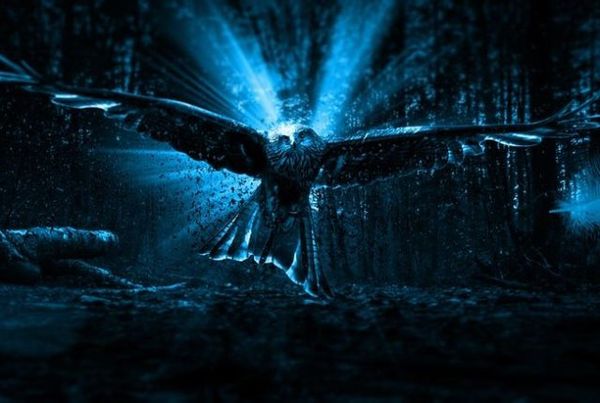 発見された未確認生物！UMAだった不思議な12の動物たち | ギベオン – 宇宙・地球・動物の不思議と謎