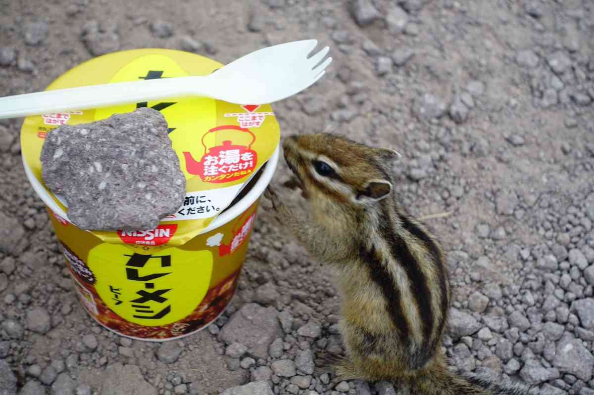 カップヌードル「初めてですよ…この私をここまでコケにした即席食品は…」カレーメシに激怒でNISSIN戦争勃発か