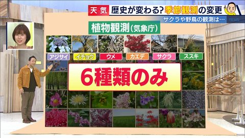 季節の目安となる「動植物の観測」を気象庁が見直し 34種から6種に激減の背景は?