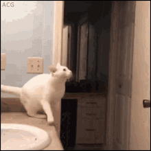 衝撃的なgif