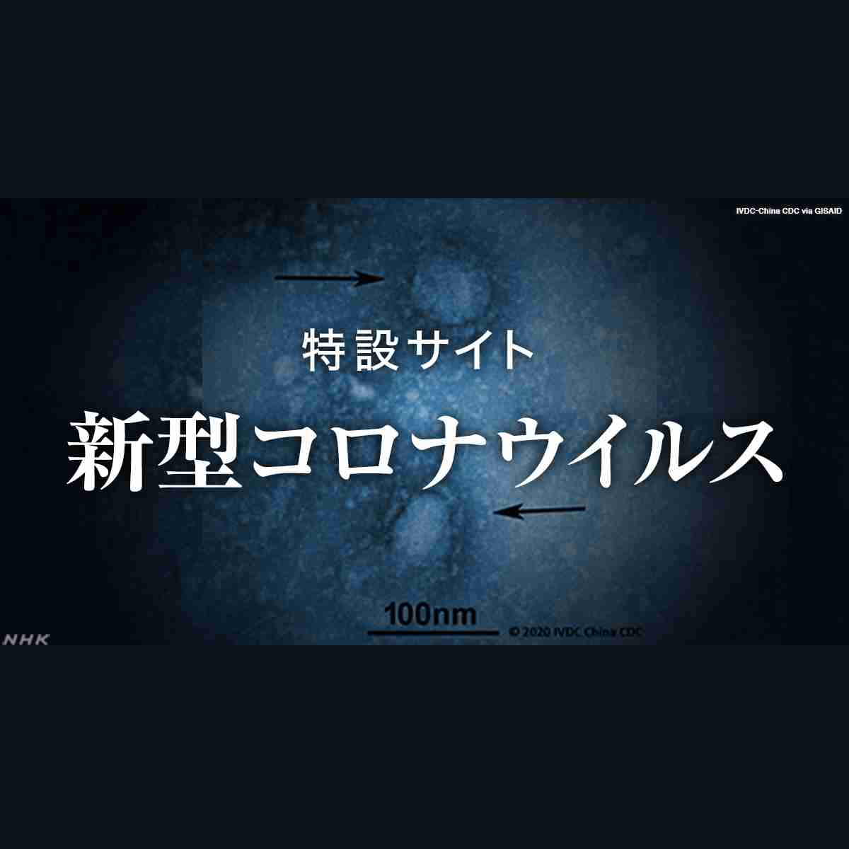 特設サイト 新型コロナウイルスの特徴｜各研究機関の最新研究 WHOや厚生労働省の調査報告｜NHK