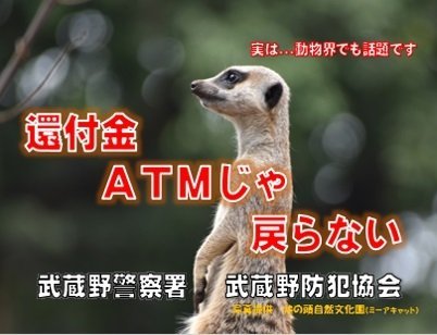 何も悪いことしてないのに...　警察署の詐欺防止ポスターで、カワウソがまさかのとばっちりを食ってしまう
