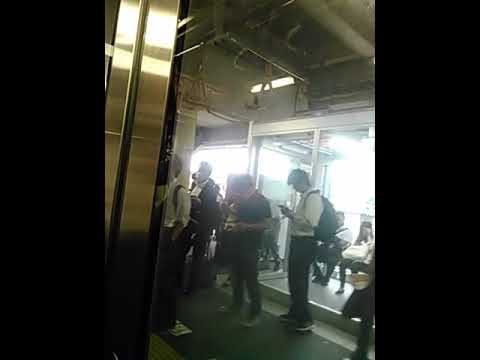 顕正会信者のストーカー(マスクの男) - YouTube