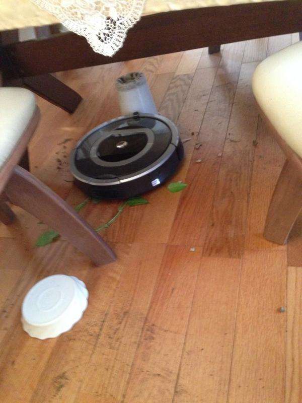 色々とやらかしてしまったロボット掃除機のハプニング 5選