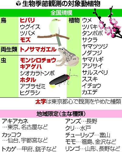 季節観測ピンチ…ツバメ、都心で２年確認できず