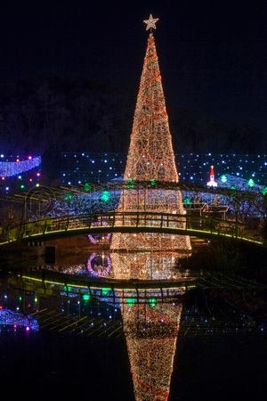 イルミネーションを見てみたい