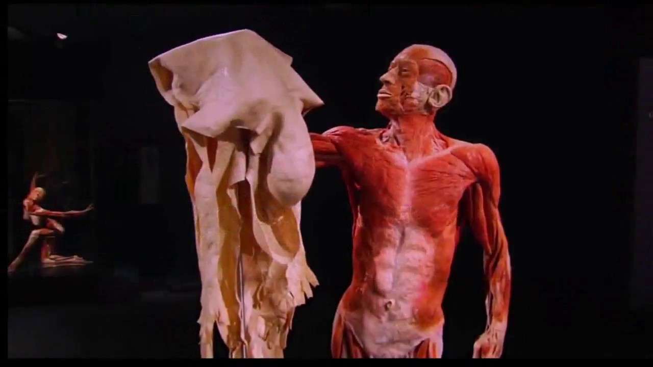 恐怖！「人体の不思議展」 中国のウイグル民族弾圧は将来の沖縄そして日本か？ - YouTube