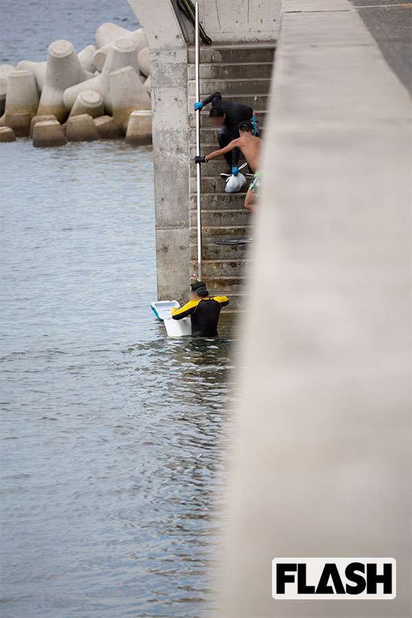 サザエ、アワビが根こそぎ…葉山漁協を苦しめる極悪密漁団撮った（SmartFLASH） - Yahoo!ニュース