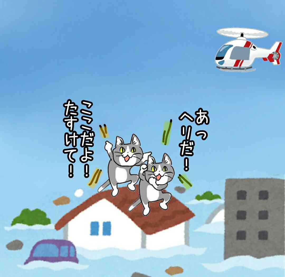 SNSで話題の“仕事猫”、ぬいぐるみ型クッションに