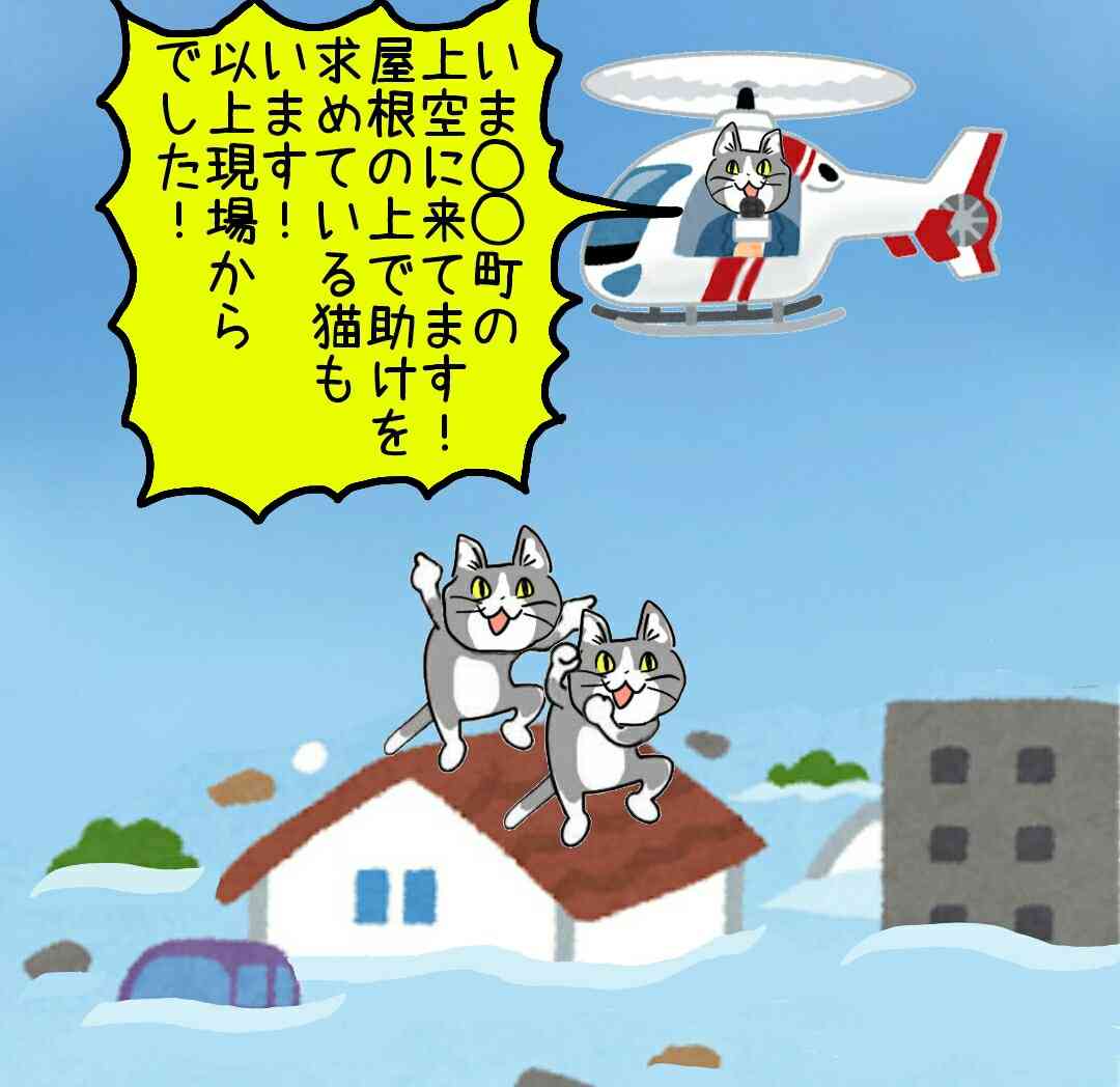 SNSで話題の“仕事猫”、ぬいぐるみ型クッションに