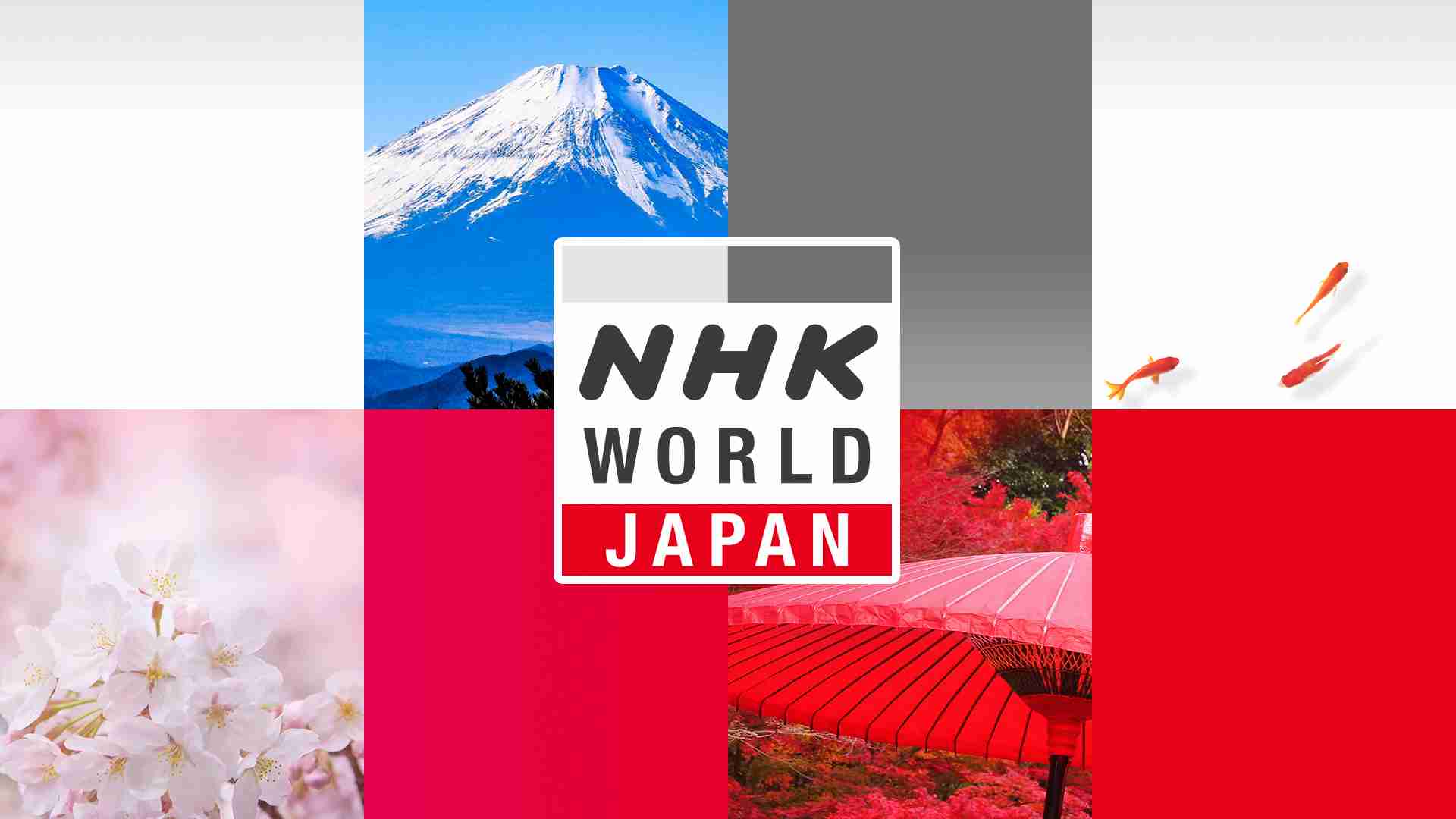 日本で見るには | NHK WORLD-JAPAN - NHKの国際サービス