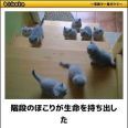 >>47 | ガールズちゃんねる - Girls Channel -