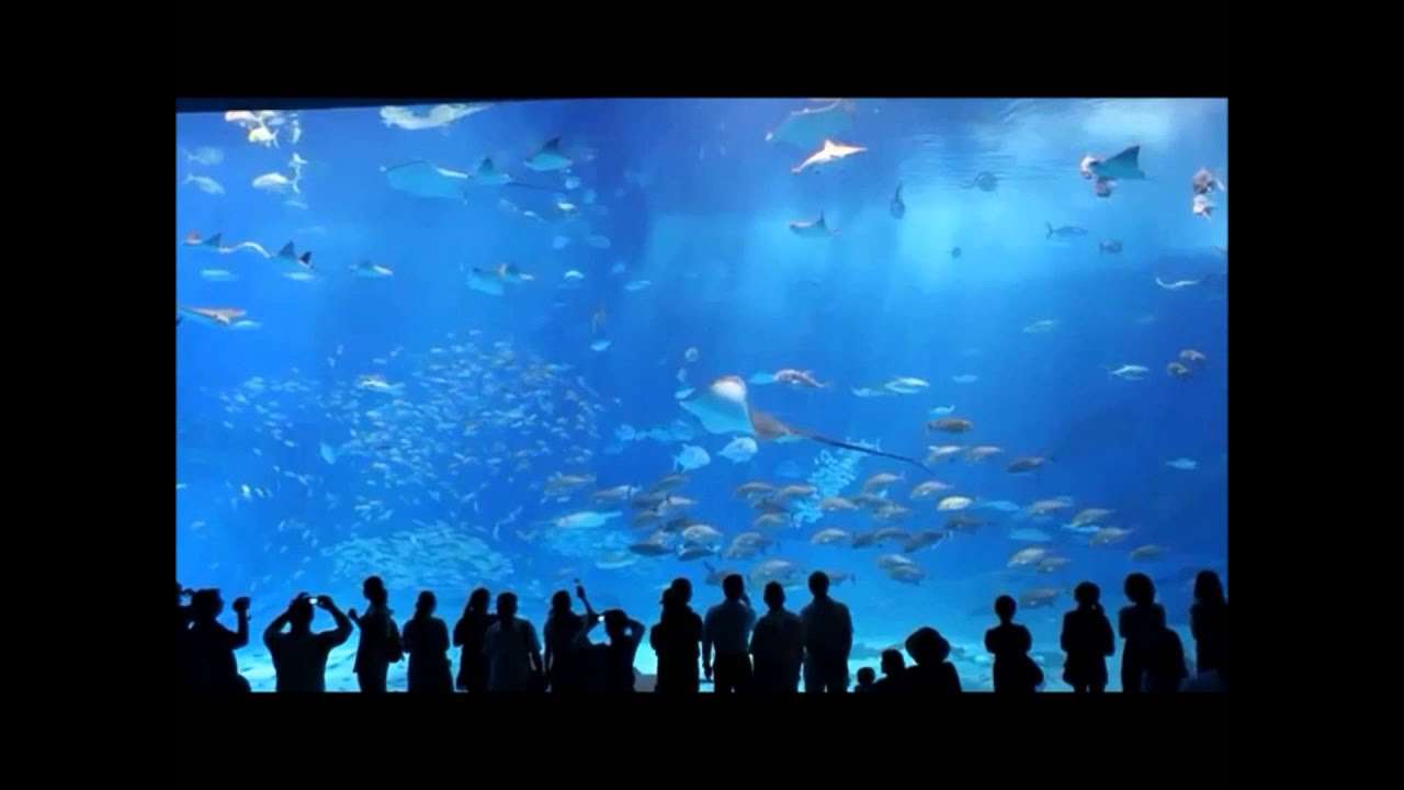 「君は天然色」A♭ - YouTube