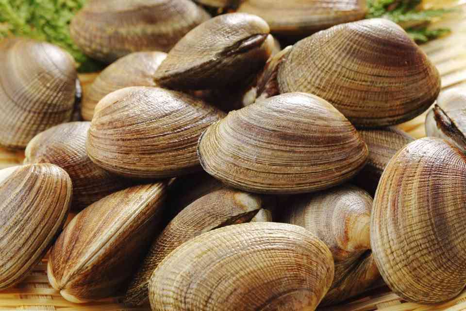 コロナワクチン迅速接種へ法改正　接種費用、政府が負担　閣議決定