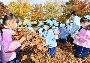  ふかふか「落ち葉プール」　福島・あづま運動公園にお目見え：福島民友ニュース：福島民友新聞社 みんゆうNet